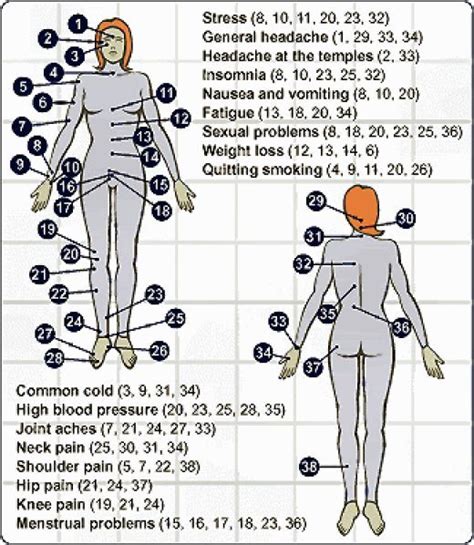 Shiatsu massage is a style of <b>acupressure</b> therapy. . Pressure points for male arousal